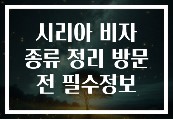 시리아 비자 종류 정리 방문 전 필수정보