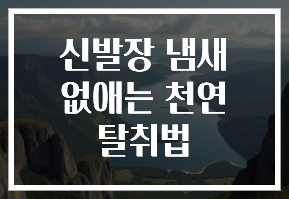 신발장 냄새 없애는 천연 탈취법