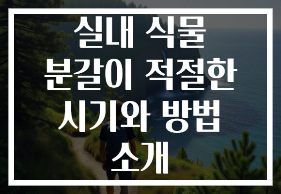 실내 식물 분갈이 적절한 시기와 방법 소개