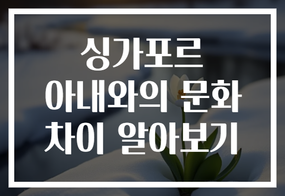 싱가포르 아내와의 문화 차이 알아보기