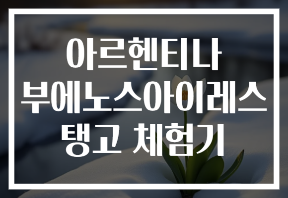 아르헨티나 부에노스아이레스 탱고 체험기