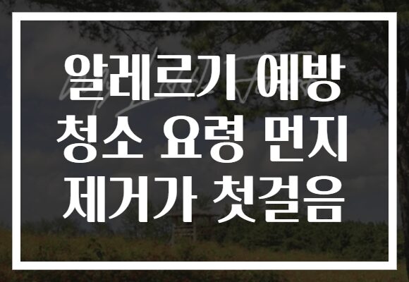 알레르기 예방 청소 요령 먼지 제거가 첫걸음
