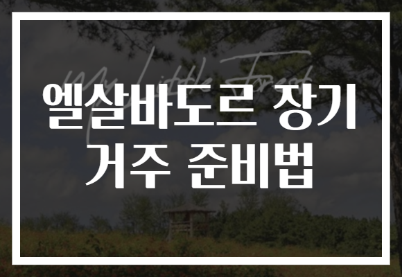 엘살바도르 장기 거주 준비법