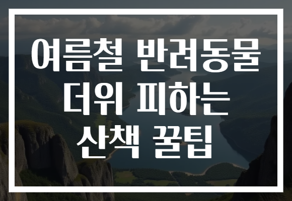 여름철 반려동물 더위 피하는 산책 꿀팁