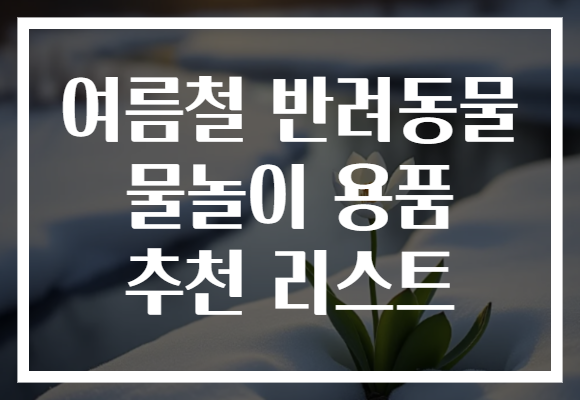 여름철 반려동물 물놀이 용품 추천 리스트