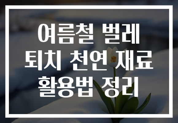 여름철 벌레 퇴치 천연 재료 활용법 정리