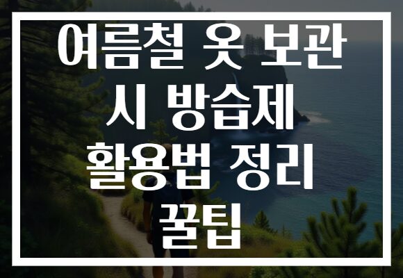 여름철 옷 보관 시 방습제 활용법 정리 꿀팁