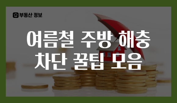 여름철 주방 해충 차단 꿀팁 모음