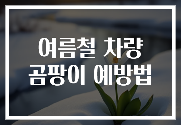 여름철 차량 곰팡이 예방법