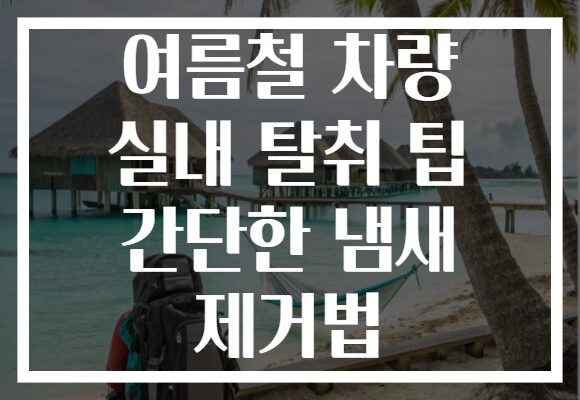 여름철 차량 실내 탈취 팁 간단한 냄새 제거법