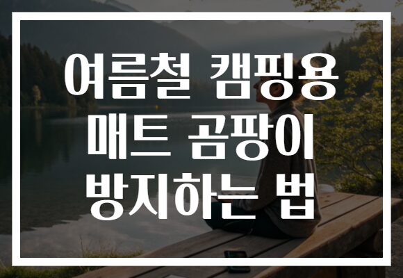 여름철 캠핑용 매트 곰팡이 방지하는 법