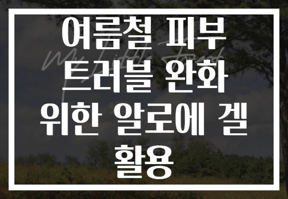 여름철 피부 트러블 완화 위한 알로에 겔 활용
