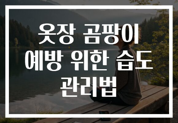 옷장 곰팡이 예방 위한 습도 관리법