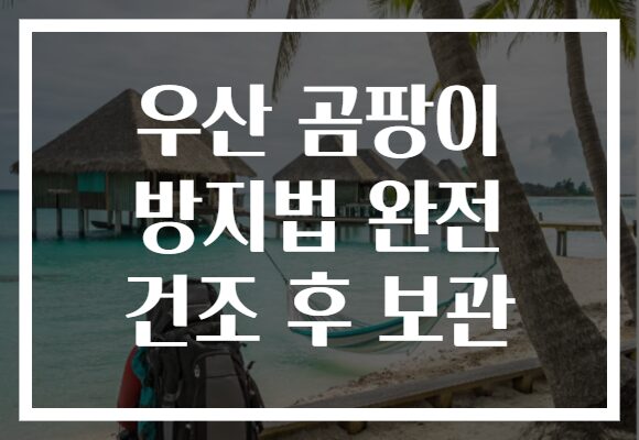 우산 곰팡이 방지법 완전 건조 후 보관