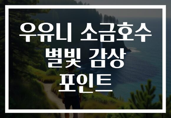우유니 소금호수 별빛 감상 포인트