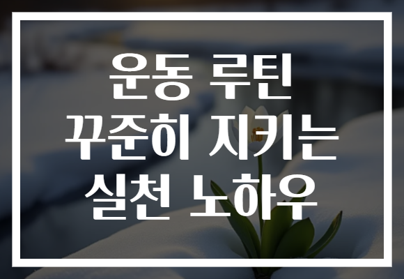 운동 루틴 꾸준히 지키는 실천 노하우