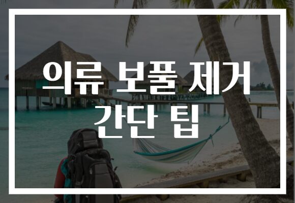 의류 보풀 제거 간단 팁