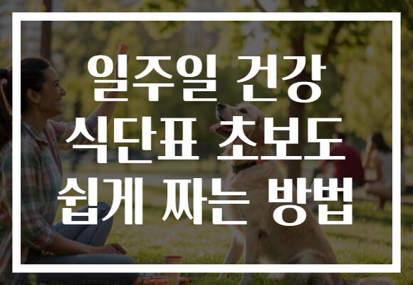 일주일 건강 식단표 초보도 쉽게 짜는 방법
