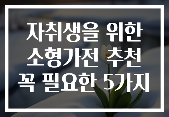 자취생을 위한 소형가전 추천 꼭 필요한 5가지