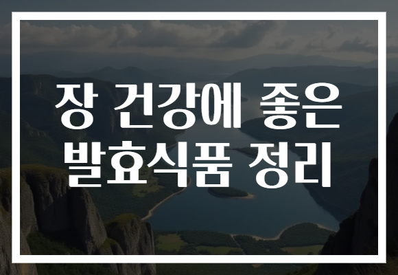 장 건강에 좋은 발효식품 정리