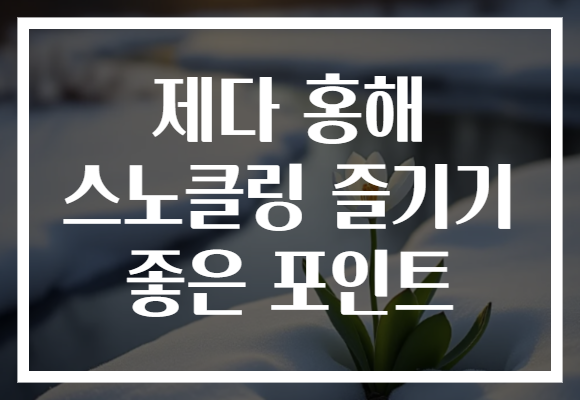 제다 홍해 스노클링 즐기기 좋은 포인트