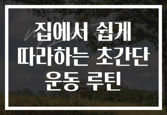 집에서 쉽게 따라하는 초간단 운동 루틴