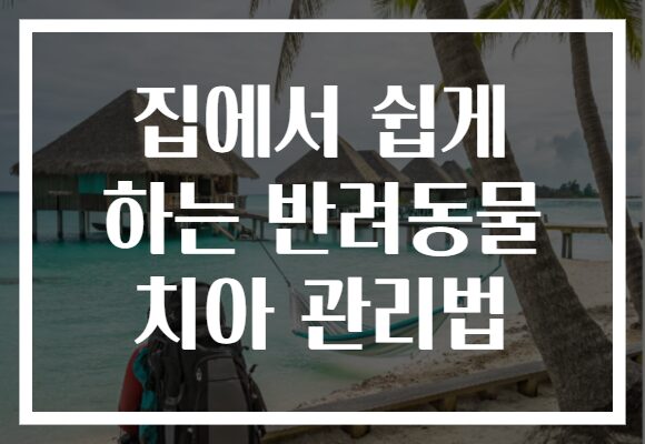 집에서 쉽게 하는 반려동물 치아 관리법