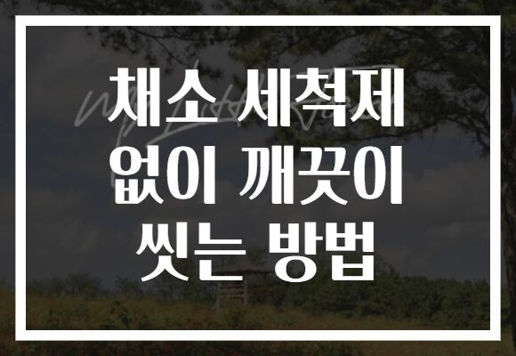 채소 세척제 없이 깨끗이 씻는 방법