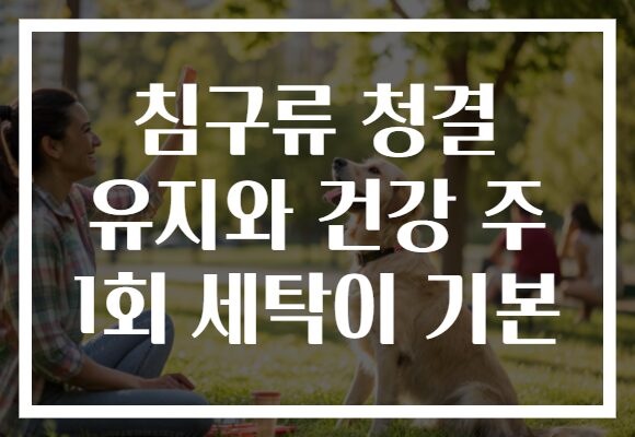 침구류 청결 유지와 건강 주 1회 세탁이 기본