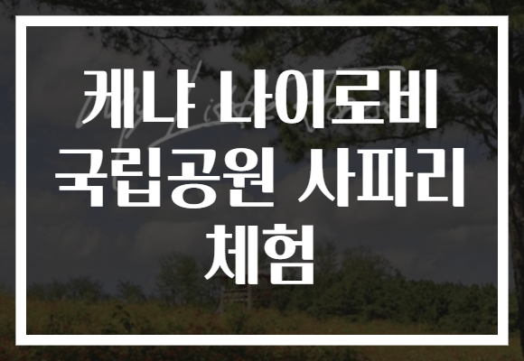 케냐 나이로비 국립공원 사파리 체험