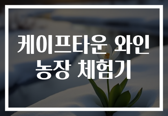 케이프타운 와인 농장 체험기