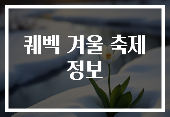 퀘벡 겨울 축제 정보