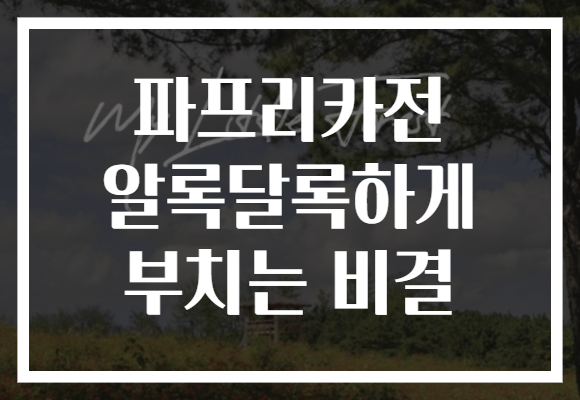 파프리카전 알록달록하게 부치는 비결