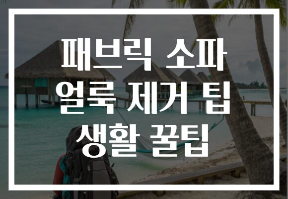 패브릭 소파 얼룩 제거 팁 생활 꿀팁