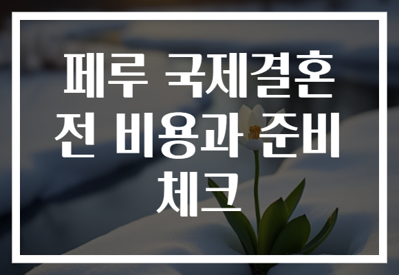 페루 국제결혼 전 비용과 준비 체크