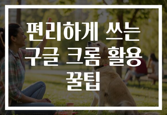 편리하게 쓰는 구글 크롬 활용 꿀팁