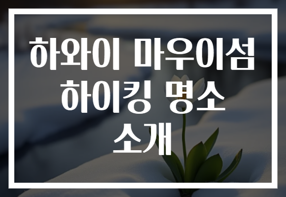 하와이 마우이섬 하이킹 명소 소개