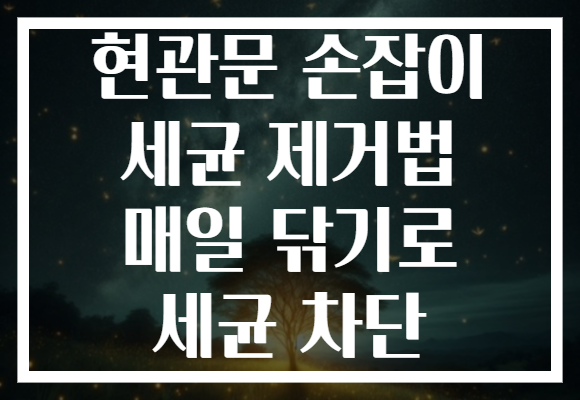현관문 손잡이 세균 제거법 매일 닦기로 세균 차단
