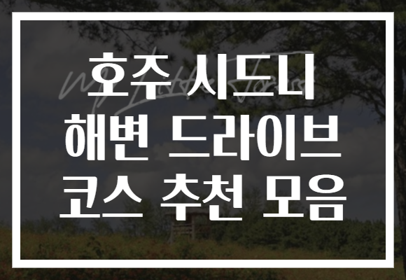 호주 시드니 해변 드라이브 코스 추천 모음
