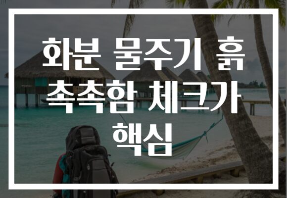 화분 물주기 흙 촉촉함 체크가 핵심