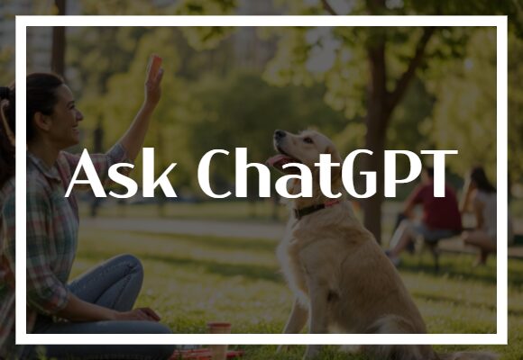 Ask ChatGPT