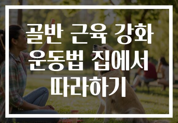 골반 근육 강화 운동법 집에서 따라하기