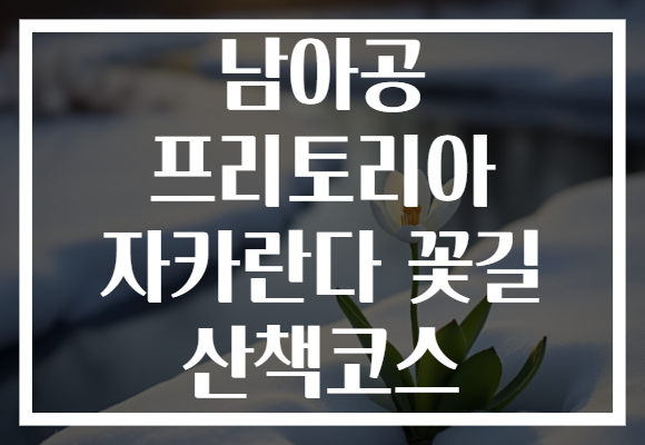남아공 프리토리아 자카란다 꽃길 산책코스