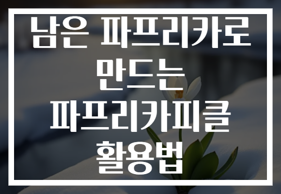 남은 파프리카로 만드는 파프리카피클 활용법
