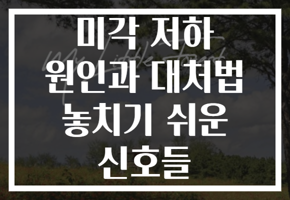미각 저하 원인과 대처법 놓치기 쉬운 신호들
