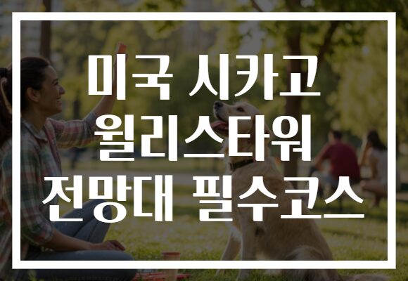 미국 시카고 윌리스타워 전망대 필수코스