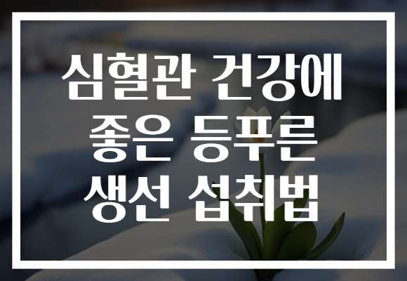 심혈관 건강에 좋은 등푸른 생선 섭취법