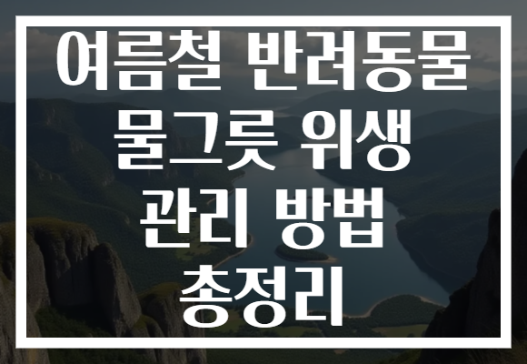 여름철 반려동물 물그릇 위생 관리 방법 총정리