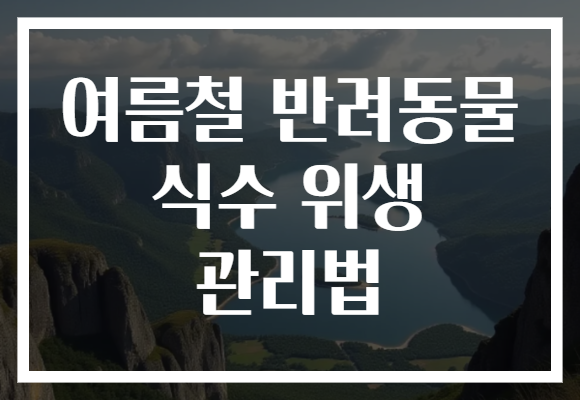 여름철 반려동물 식수 위생 관리법
