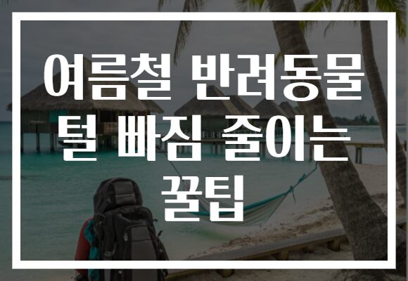 여름철 반려동물 털 빠짐 줄이는 꿀팁